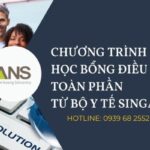 hoc bong toan phan nganh dieu duong của bo y te singapore
